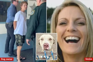 Pit bulls that killed a Florida woman previously attacked another neighbor weeks before, according to court documents