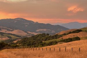 Rare tick-borne illness returns in California