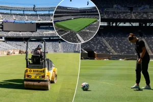 Reasons for replacing turf with grass at World Cup 2026 venues
