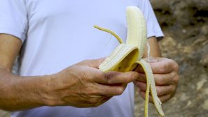 Reasons some bananas remain green and don’t ripen, as explained by food experts
