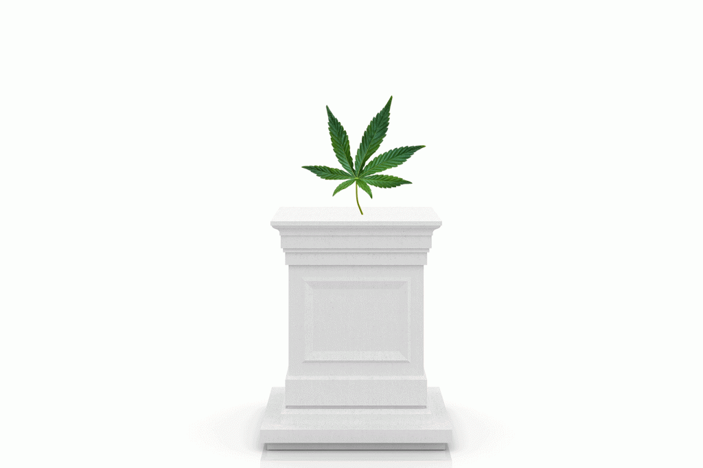 Regular marijuana use can lead to issues. I didn’t receive any warnings.