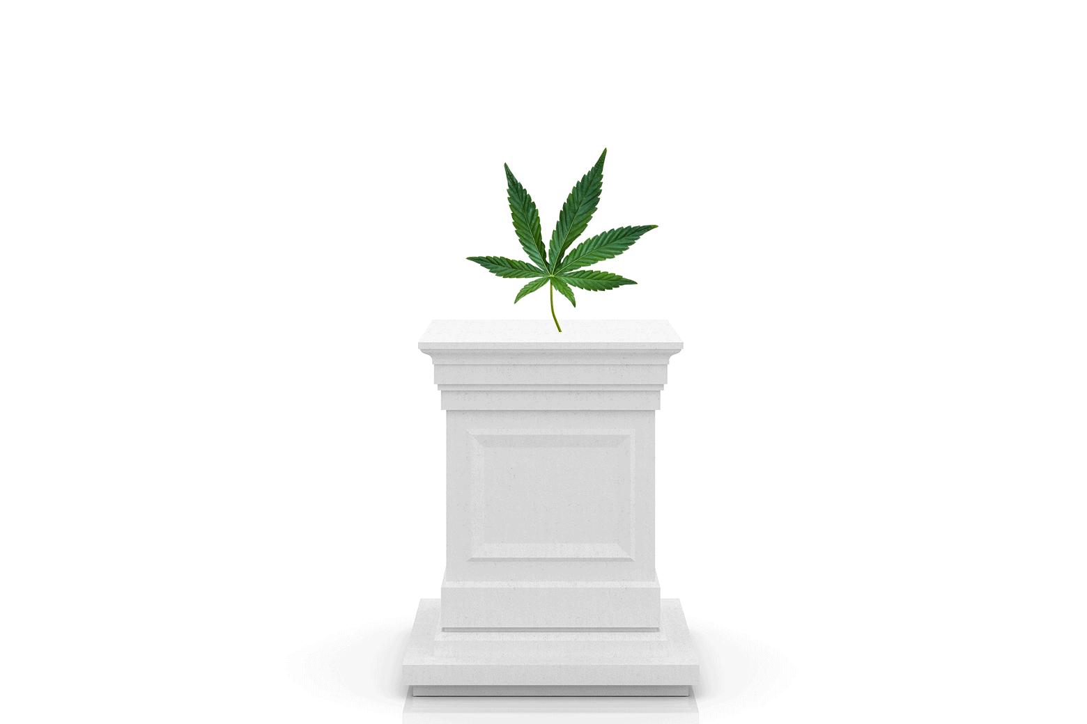 Regular marijuana use can lead to issues. I didn’t receive any warnings.