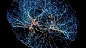 Researchers Discover Concealed 'Focus Switch' in the Brain That Could Provide Insights into ADHD