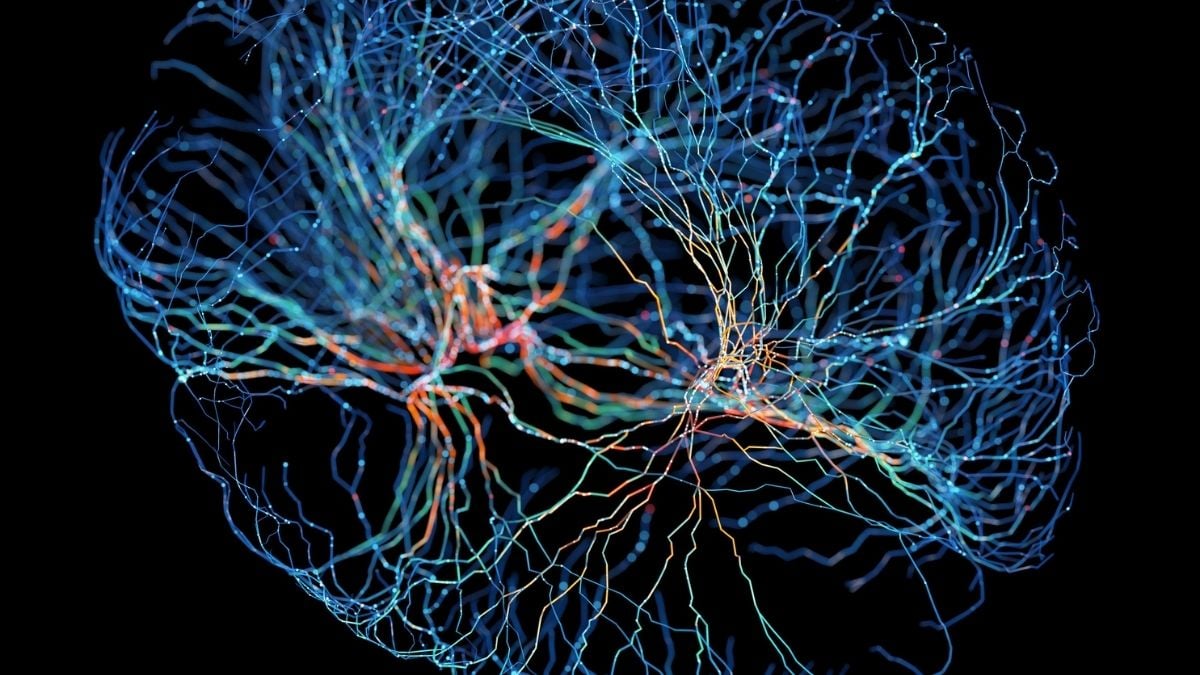 Researchers Discover Concealed 'Focus Switch' in the Brain That Could Provide Insights into ADHD