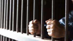 Researchers Discover Fascinating Connection Between Ozempic and Aggressive Behavior