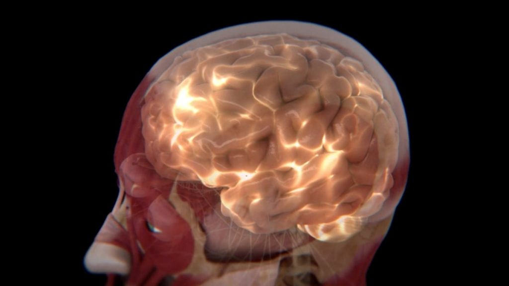 Researchers Discover Two Unique Types of Autism in the Brain