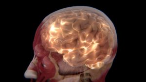 Researchers Discover Two Unique Types of Autism in the Brain