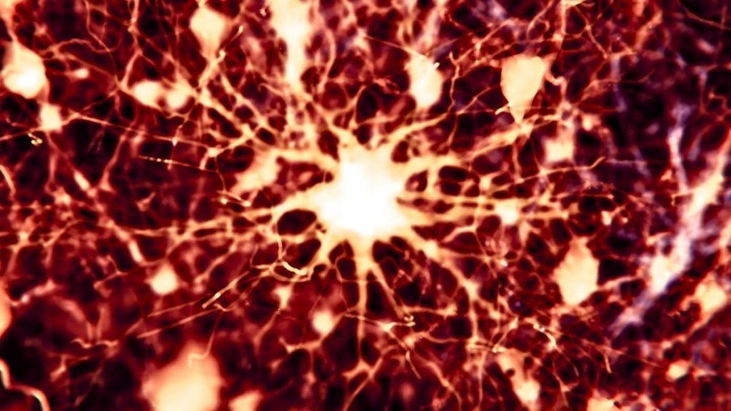 Researchers Discovered 2 Current Medications Might Restore Brain Health in Mice with Alzheimer's