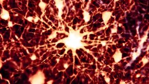 Researchers Discovered 2 Current Medications Might Restore Brain Health in Mice with Alzheimer's