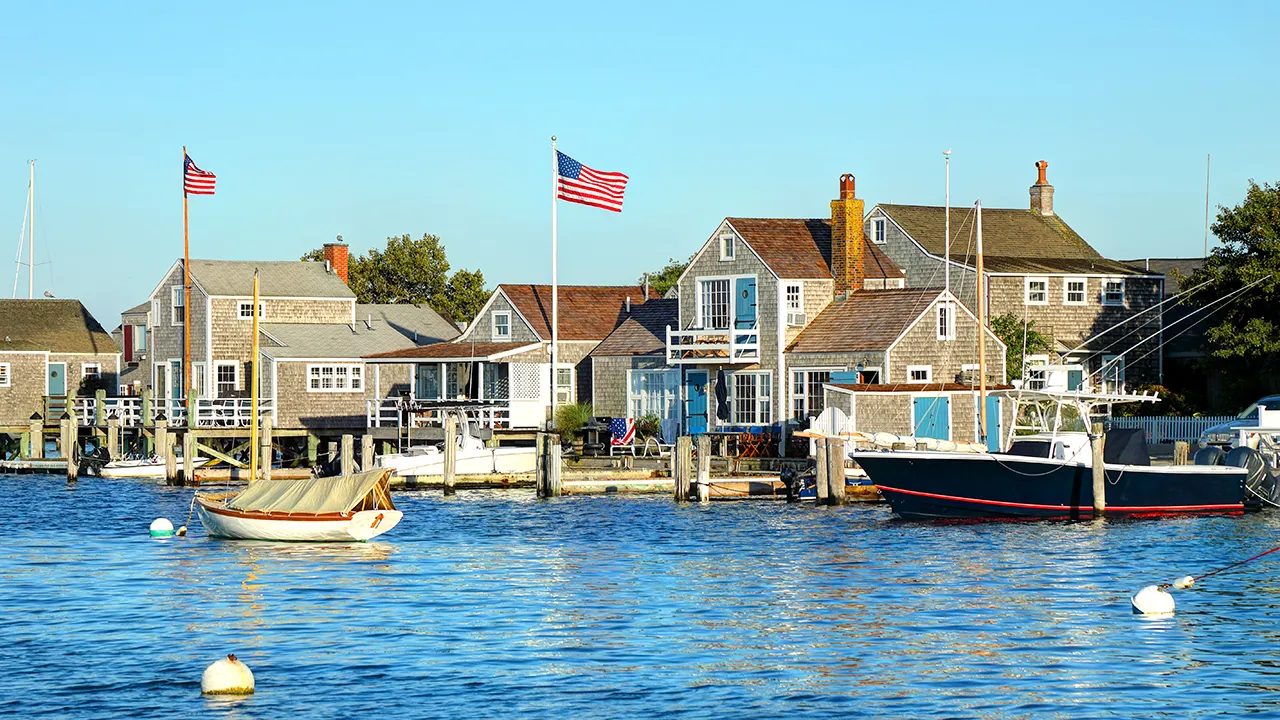 Researchers develop mice to combat the spread of Lyme disease on Nantucket