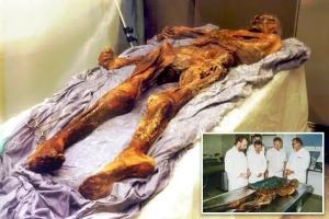 Researchers transform yeast from the gut of an ancient mummy into excellent sourdough bread