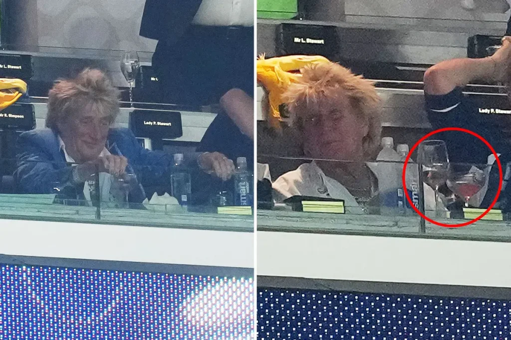 Rod Stewart spotted enjoying a drink at the Scotland match after calling off California concert shortly before it started.