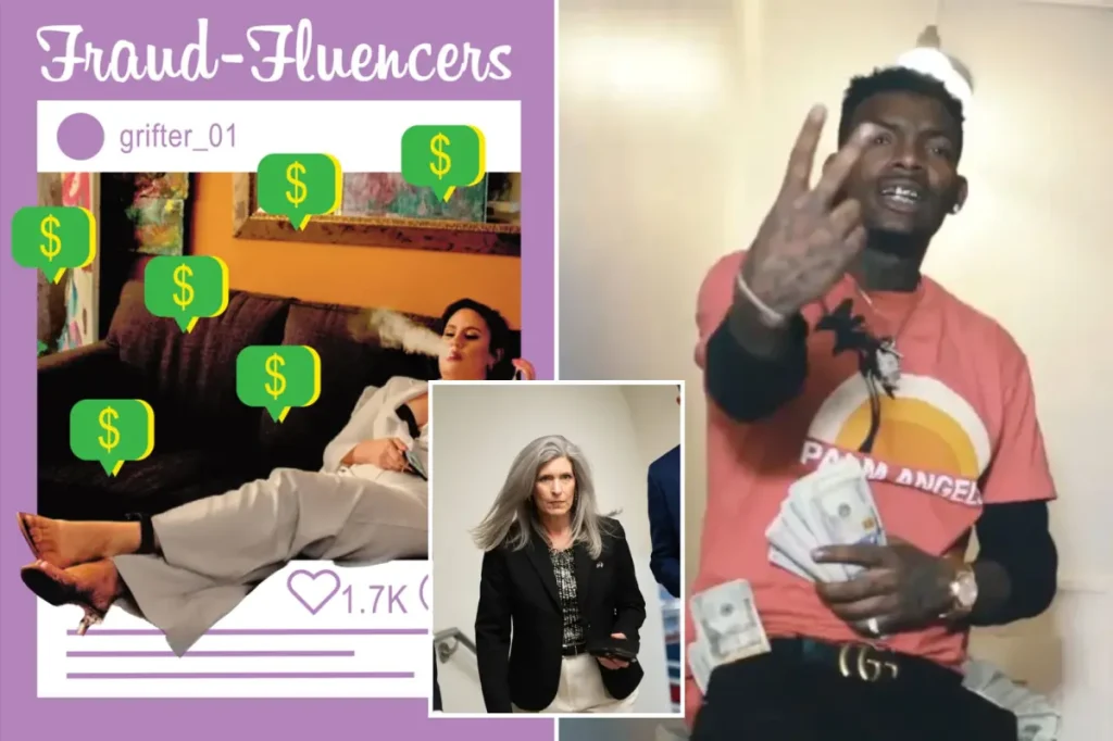 Senator calls for action against 'fraud-fluencers' who boast online about taking money from taxpayers
