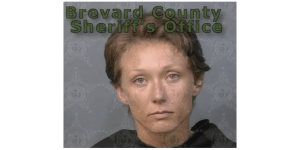 Sheriff criticizes dog owner charged with allowing 'dangerous' animals to attack neighbor fatally and pretending to have a heart attack to escape jail.