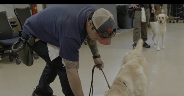 Sneak Preview of ATF Dog Training Program