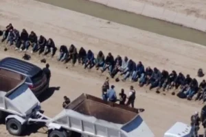Southern California Border Patrol disrupts two human trafficking operations