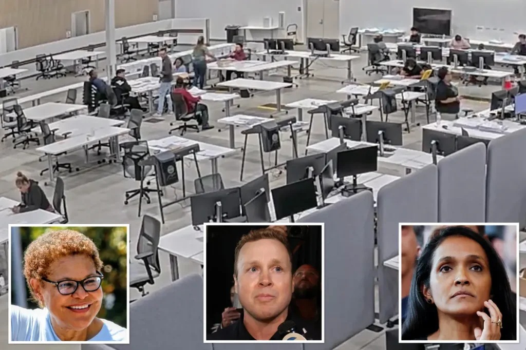 Striking image reveals harsh truth about California elections