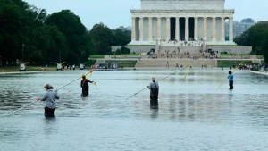 Study finds that CNN provided almost 7 hours of coverage on the DC Reflecting Pool.