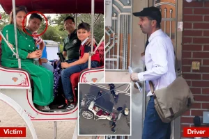 Support for horse carriage ban grows after tragic death of young tourist