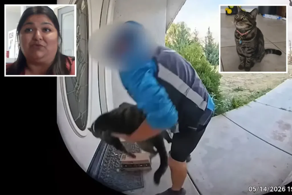 Surprising turn as California Amazon delivery driver seen taking family cat from their doorstep