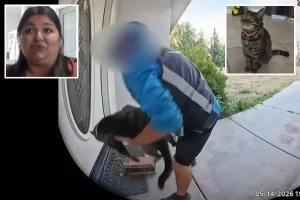 Surprising turn as California Amazon delivery driver seen taking family cat from their doorstep