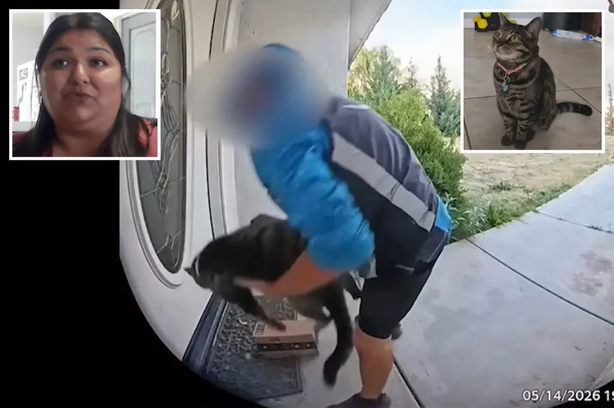 Surprising turn as California Amazon delivery driver seen taking family cat from their doorstep