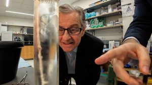 The effect of a baby's death on a doctor's career and its influence on our understanding of inflammation