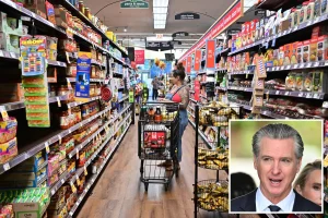 The effects of California's elimination of 'sell by' dates on grocery shopping