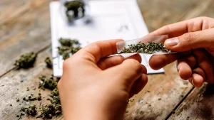 The hope for legal cannabis has disappeared as the illegal market continues to expand.