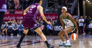 Three possible teams for a recently released WNBA veteran