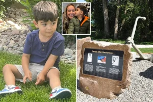 Three-year-old boy killed by park structure while being taken to his mother at the hospital during her shift.