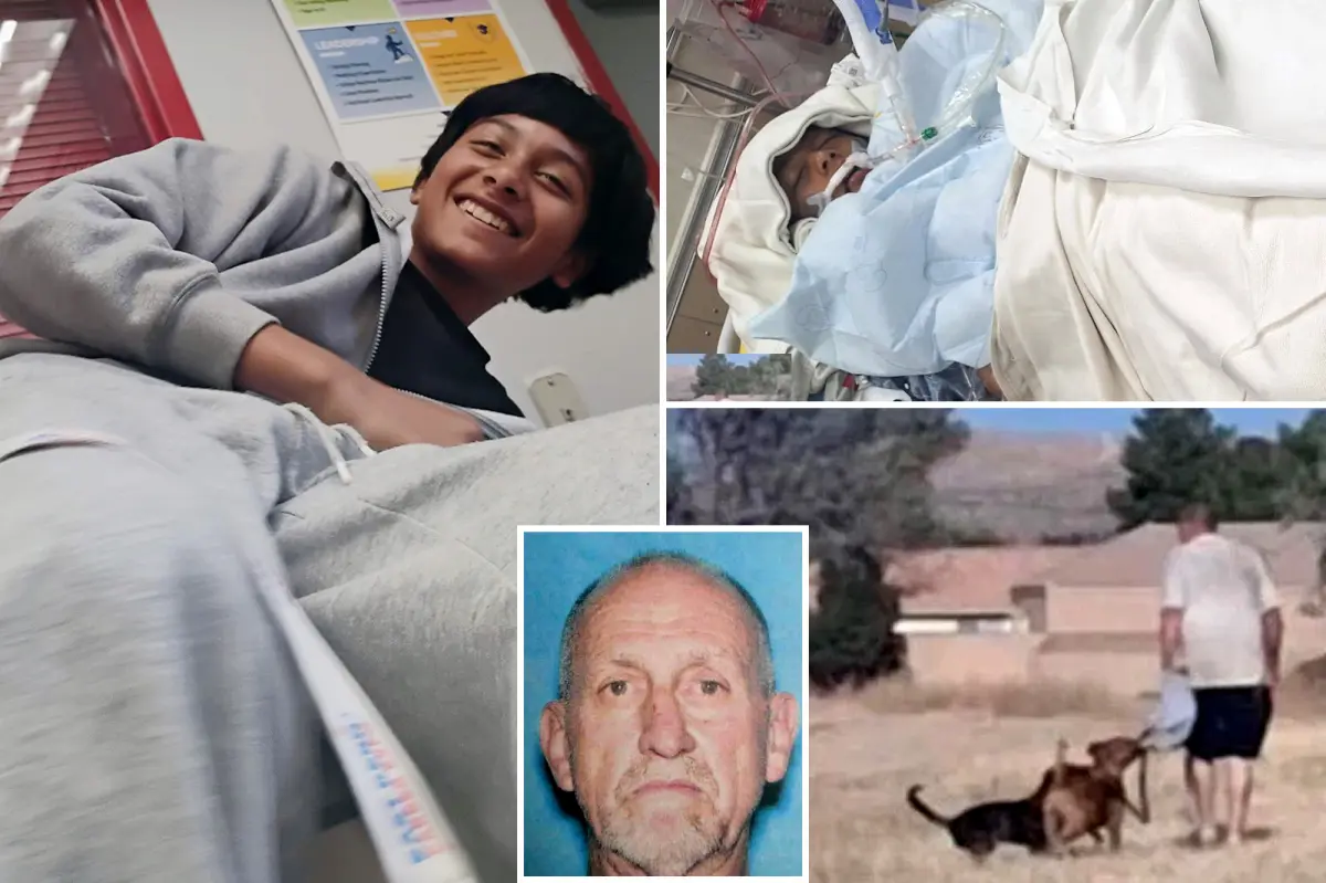 Tragedy strikes as 12-year-old boy drowns after jumping into a lake while being chased by three aggressive dogs