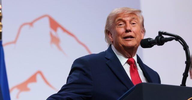Trump: Democrats Struggling in Generic Polls Due to Their Choice of 'Lunatics'