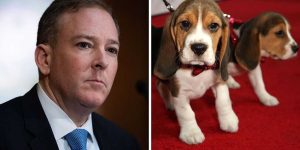 Trump's EPA makes significant move to stop animal testing following Fauci's inhumane beagle studies