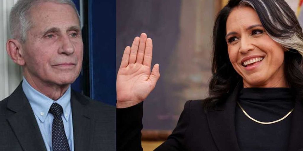 Tulsi Gabbard reveals the truth about Fauci's COVID story on her last day in office