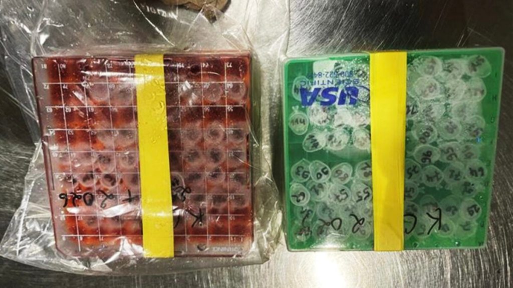 Two NIH Scientists Accused of Conspiring to Smuggle Dangerous Virus