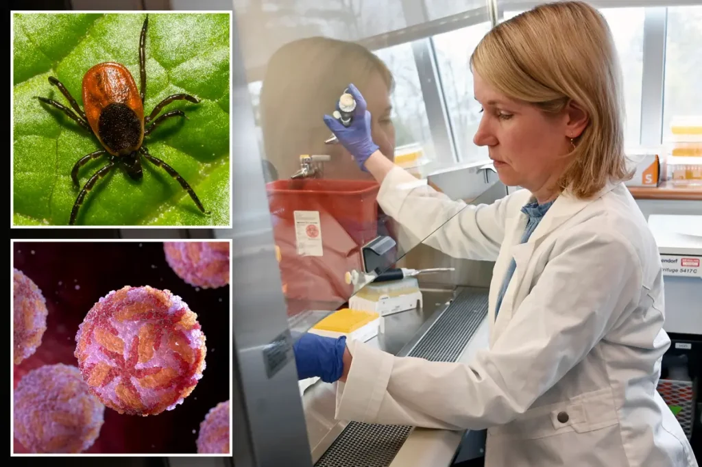Uncommon tick-related virus quickly becomes lethal as US cases hit a new high, experts caution
