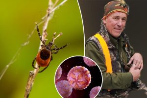 Unknown tick-borne illness leaves man in the hospital and unable to speak.