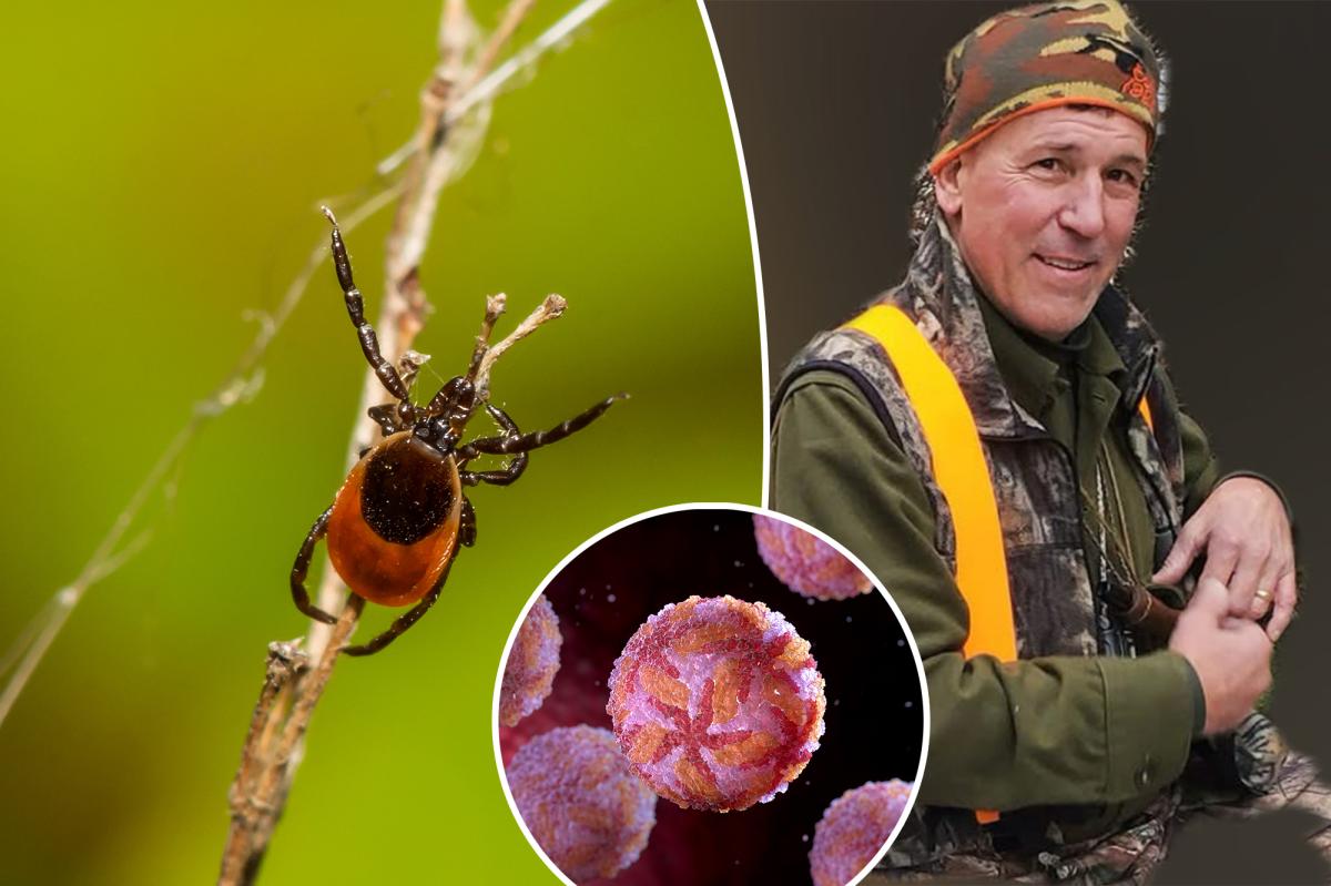 Unknown tick-borne illness leaves man in the hospital and unable to speak.