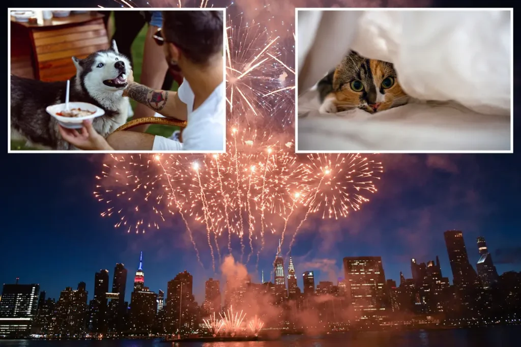 Veterinarian's advice for protecting your pets sensitive to fireworks during the 4th of July