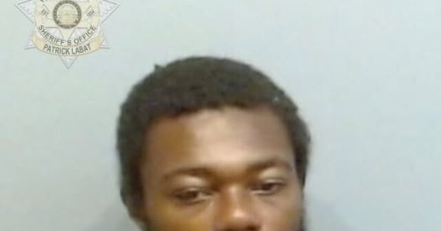 Video: Elderly Woman Stabbed to Death Almost 20 Times on Atlanta Train