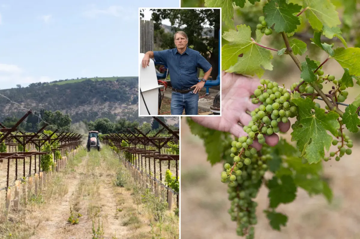Vineyard owners in Napa Valley angry over new law requiring high fees for groundwater usage