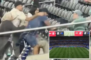 Violent fight erupts in the stands during Iran World Cup game