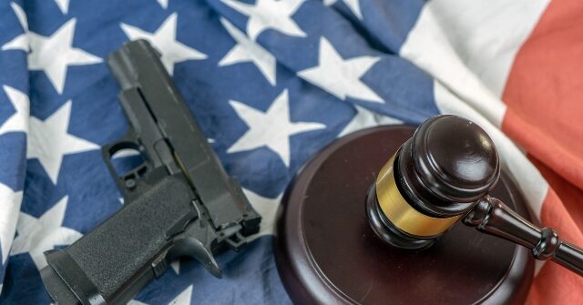 Virginia Judge Stops Implementation of Universal Background Checks