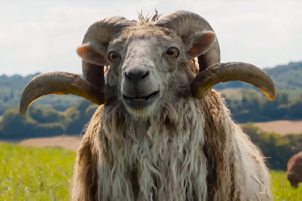 Ways to View 'The Sheep Detectives' at Home: Release Date and Amazon Prime Video Details