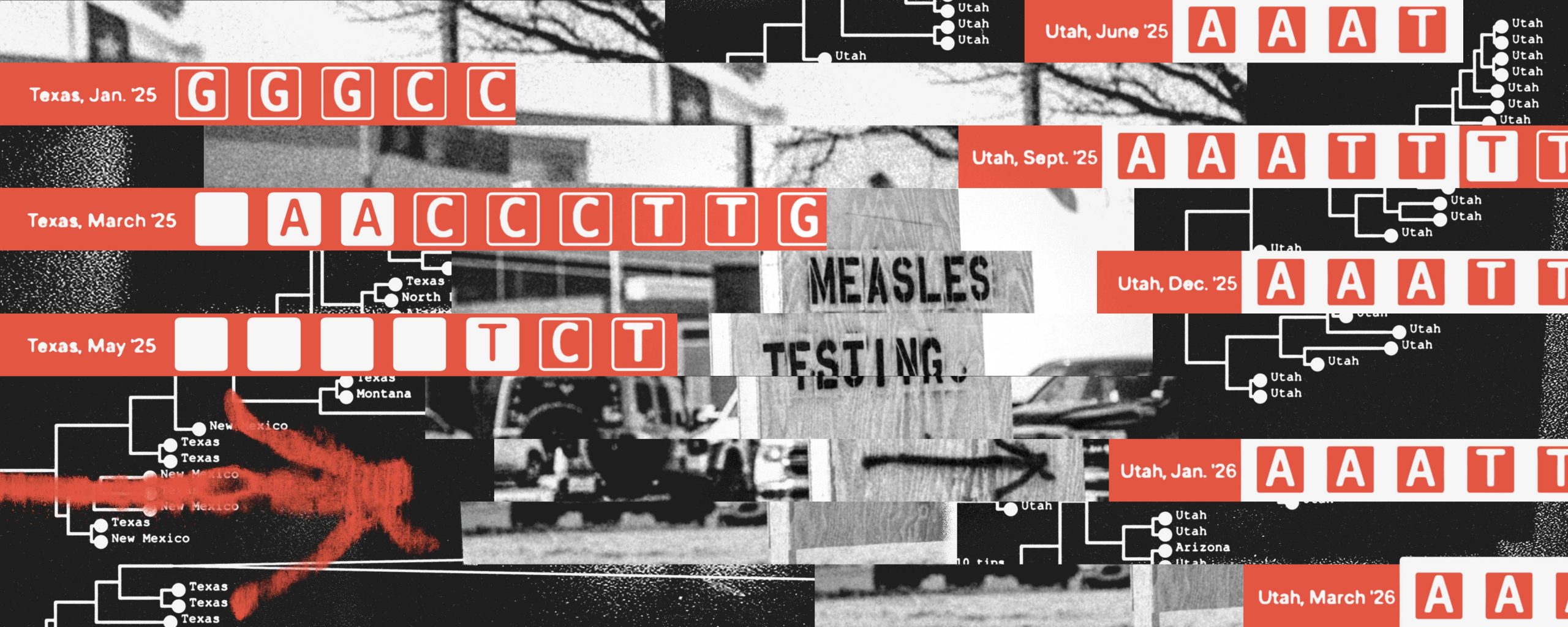 What ProPublica Discovered in the Genetic Code of Measles Outbreaks in America
