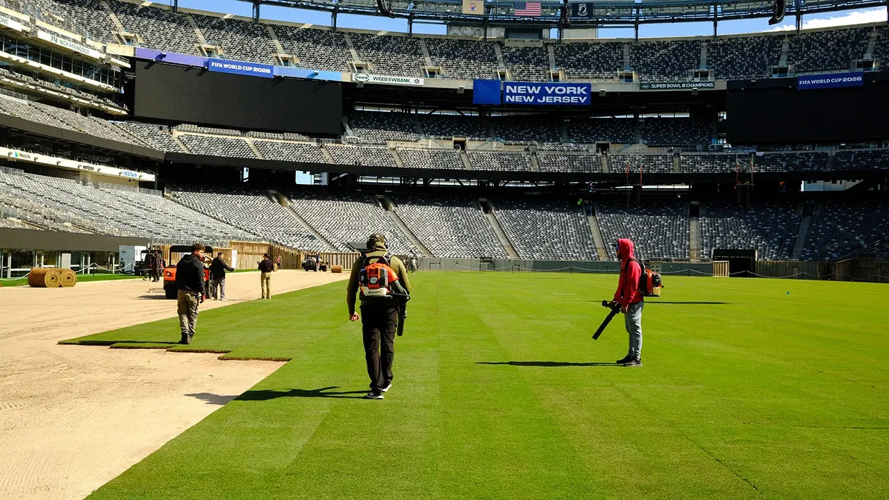 World Cup grass pitches will initiate discussion about NFL turf, according to Stu Holden.