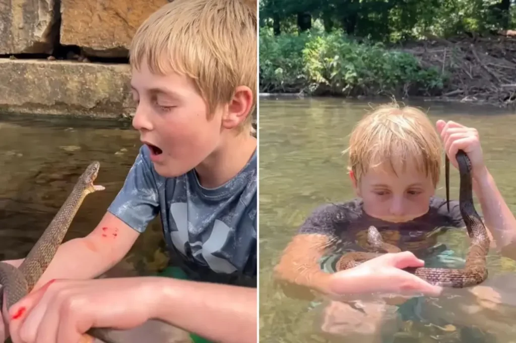 Young Steve Irwin catches snakes and faces their bites for enjoyment