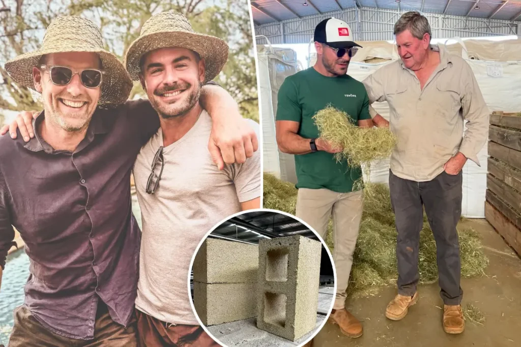 Zac Efron is quietly constructing his ideal house in a vast secluded rainforest in Australia, according to a developer.