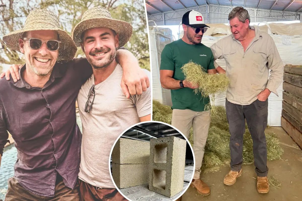 Zac Efron is quietly constructing his ideal house in a vast secluded rainforest in Australia, according to a developer.